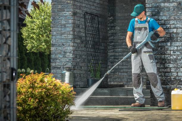 Best Soft Washing  in Browns Mills, NJ